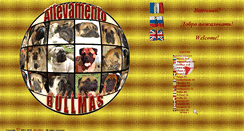 Desktop Screenshot of bullmas.net